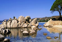 女篮世锦赛冠军诞生，美国女篮成功卫冕